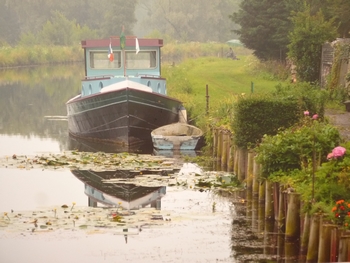 Expo photo Eclats de vie en bords de Sambre